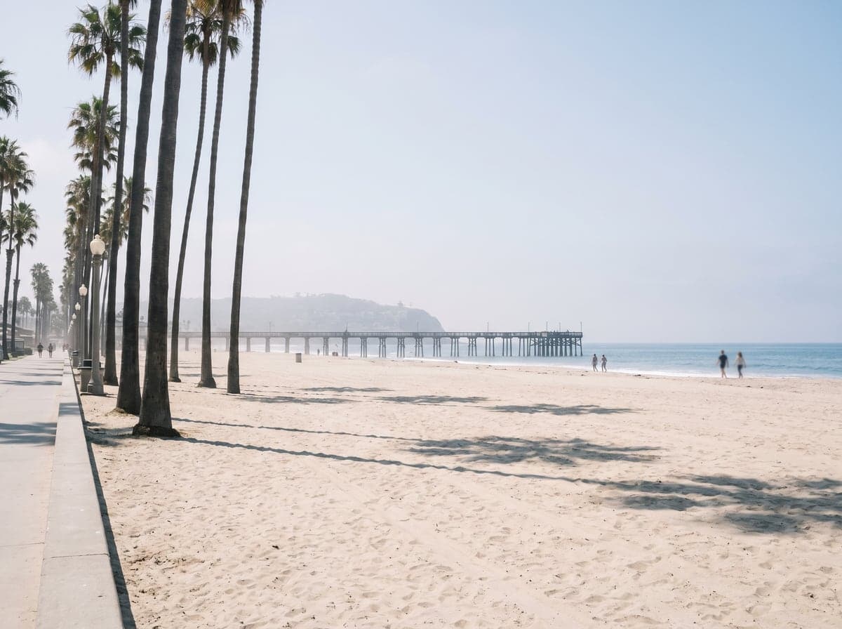 Palm-lined beach and pier in San Diego, California