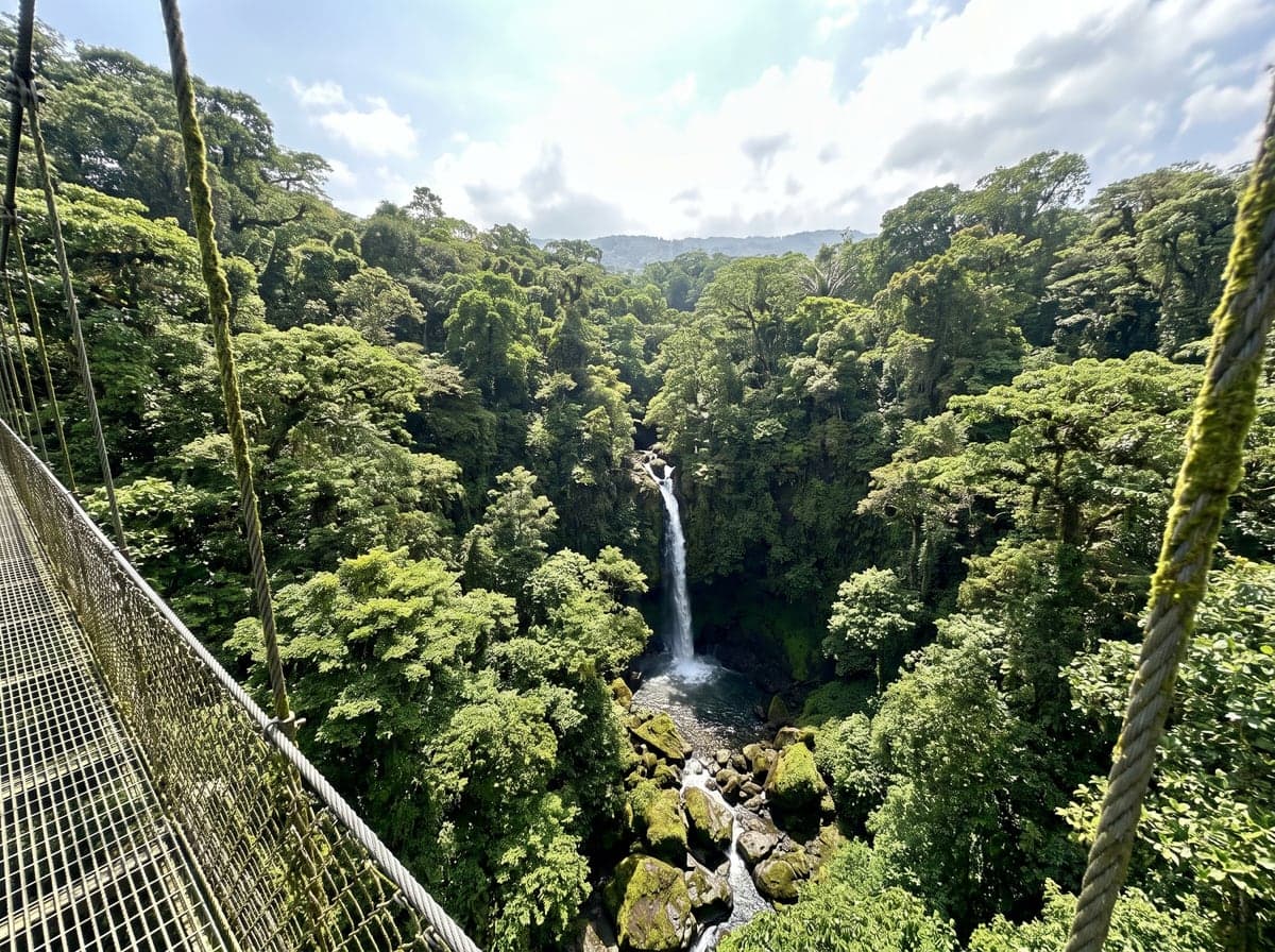 Rainforest canopy and waterfall in Costa Rica