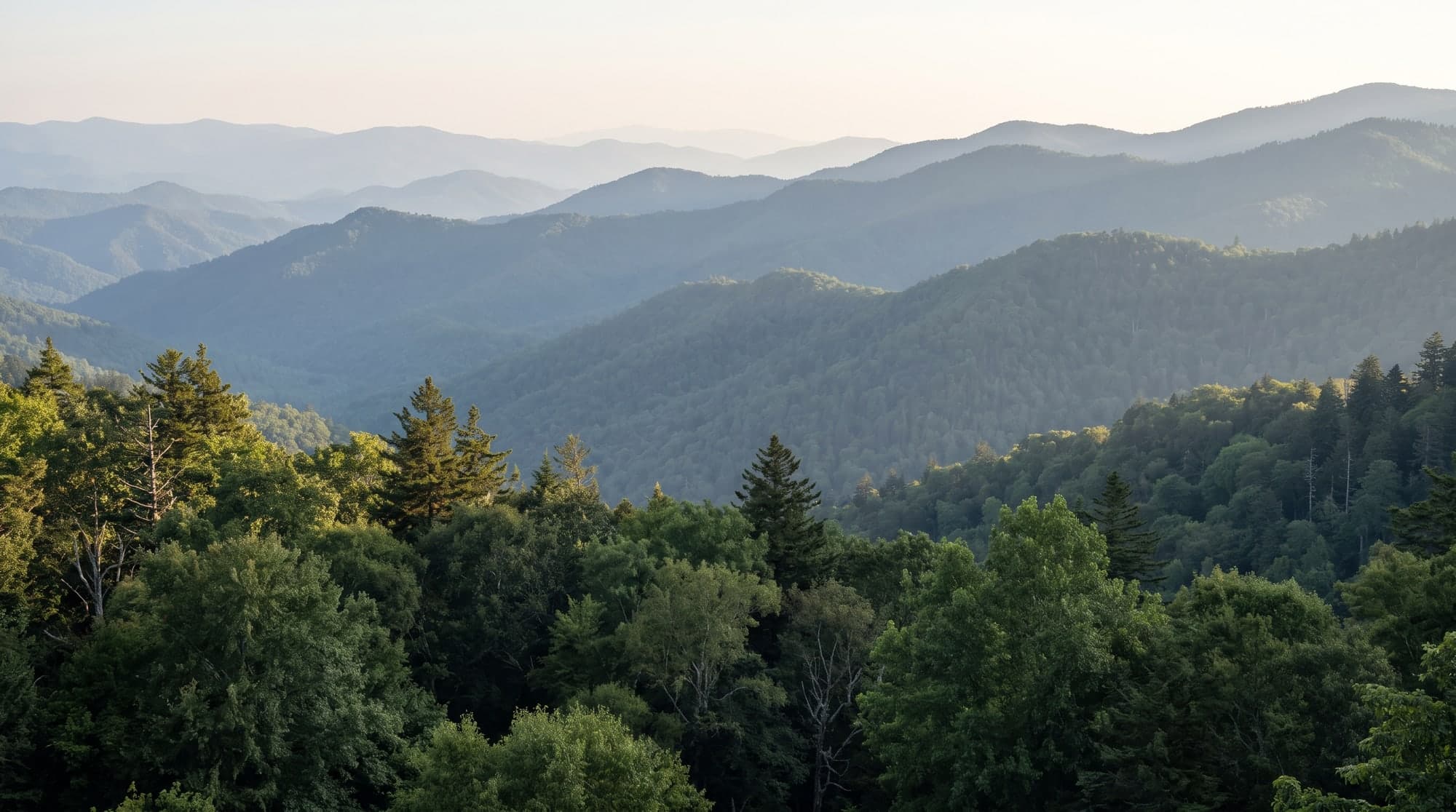 Tennessee vacation packages